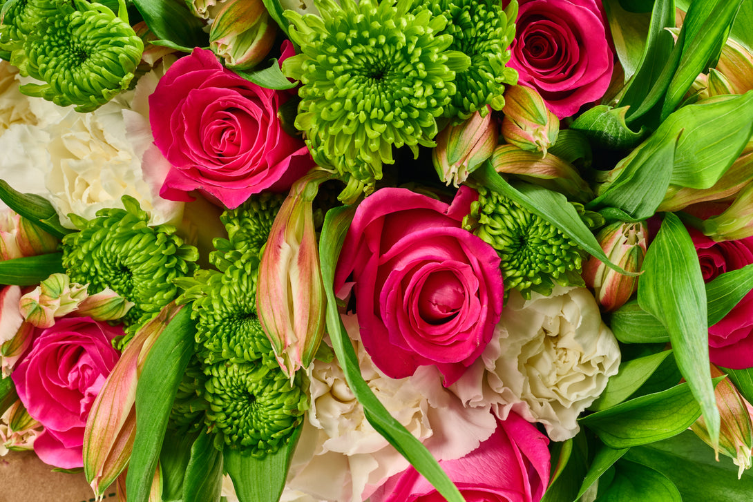 pink and white roses