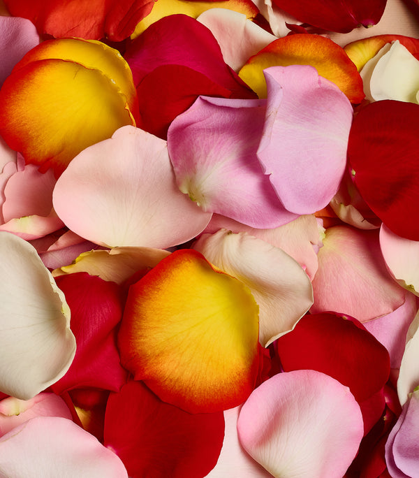 ASSORTED ROSE PETALS