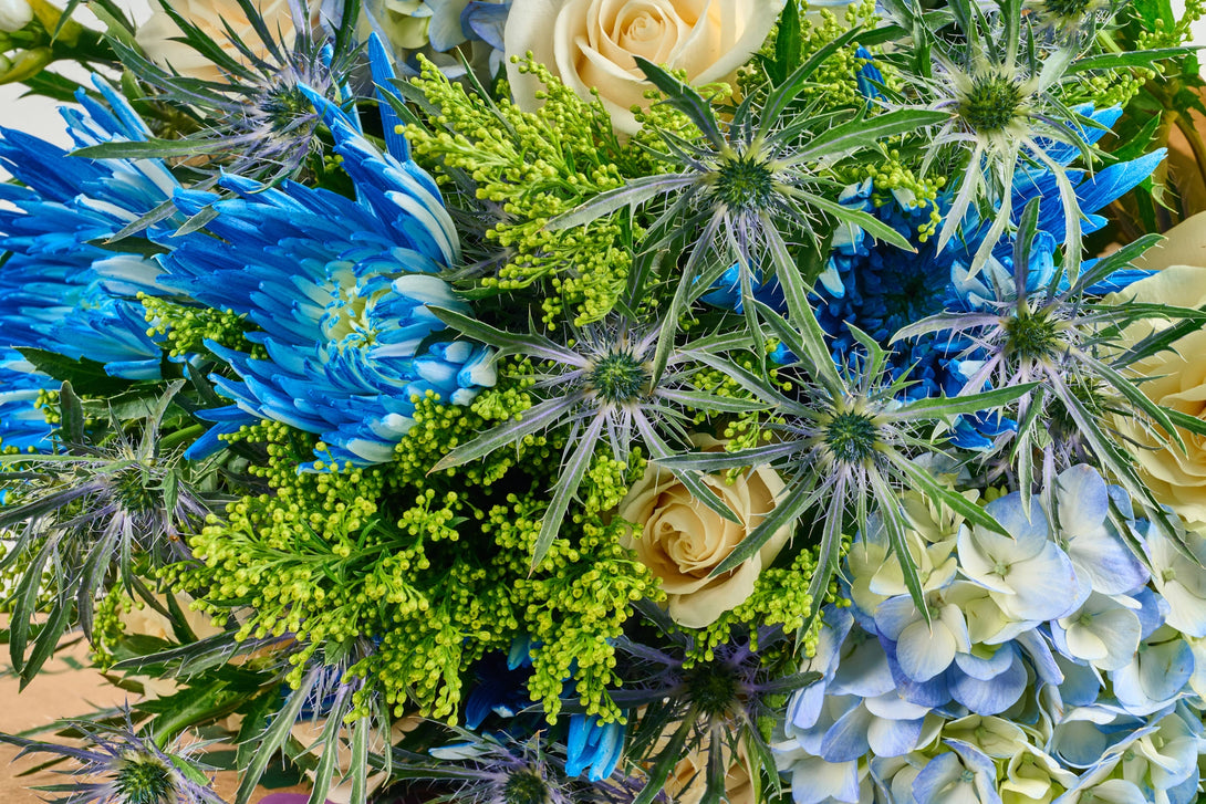 white flowers with blue