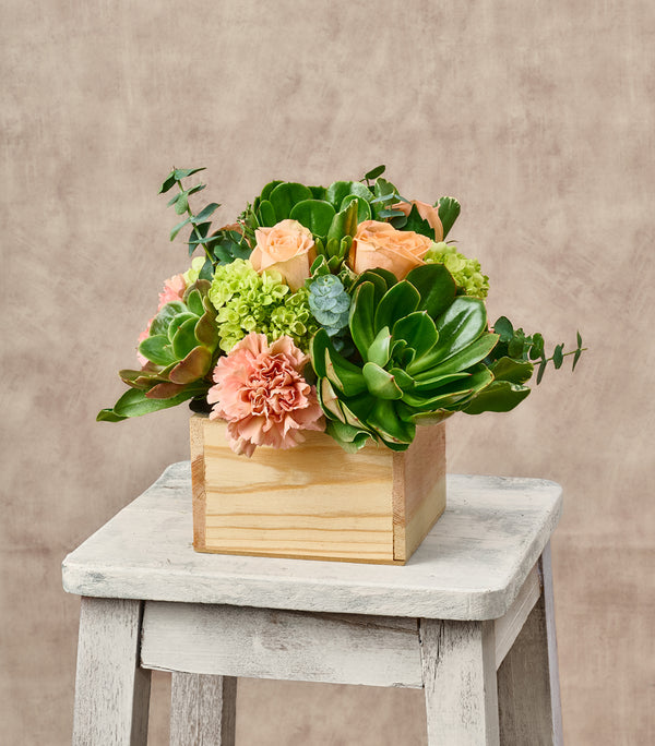 PREPPY - CENTERPIECE