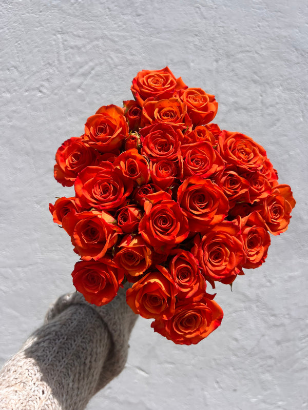 wholesale 20 Orange spray roses