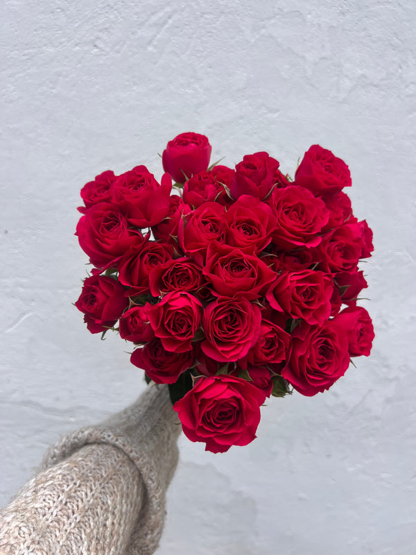 wholesale 20 Red spray roses