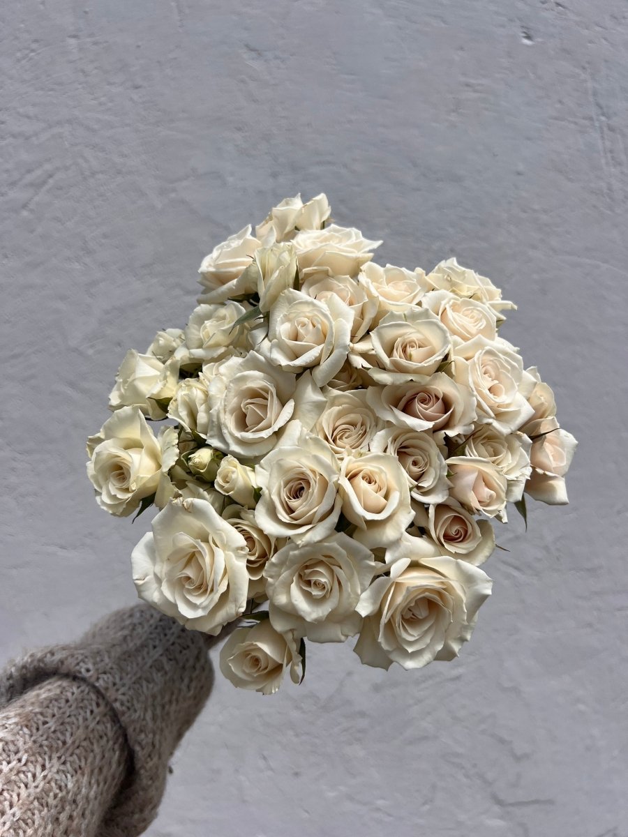 White Garden Spray Roses WHITE SWEET DREAMS SPRAY ROSES – Bloomngo