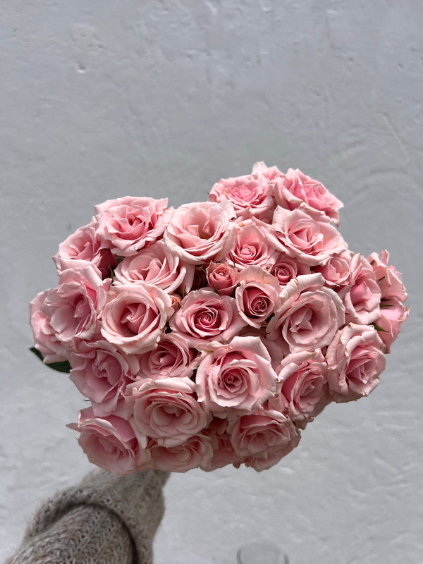 wholesale 20 Pink spray roses