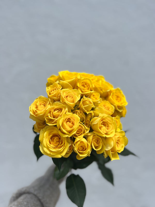 wholesale 20 Yellow spray roses
