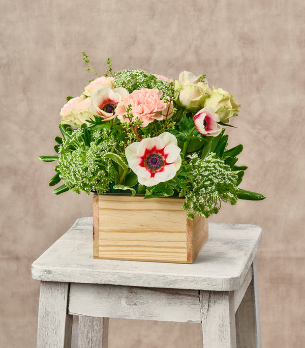 WHIMSICAL - CENTERPIECE